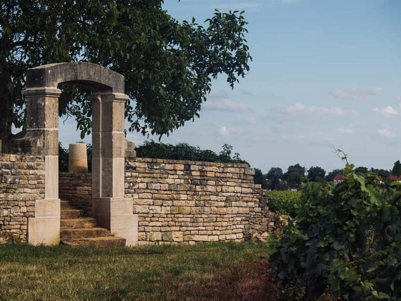 Côte de Nuits: 2h30 excursion among the vines - An Authentic Peek into Burgundy’s Vineyards