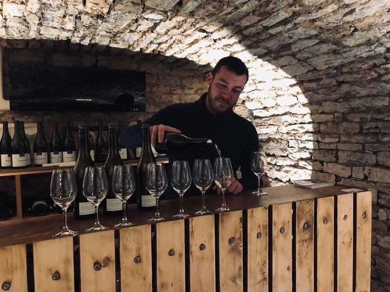 Côte de Nuits: 2h30 excursion among the vines - Final Thoughts