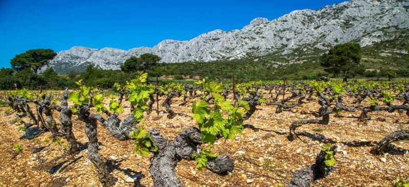 Coteaux d'Aix: Ste Victoire Wine Tour & Cezanne route - Key Points