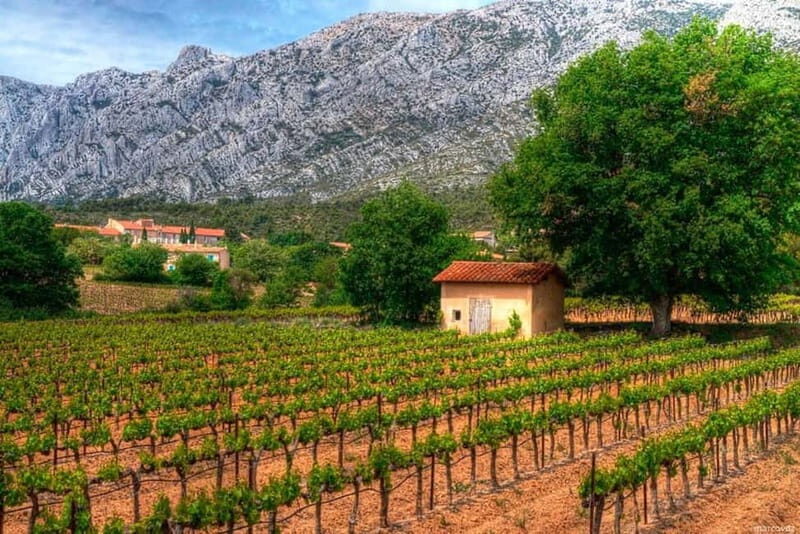 Coteaux d'Aix: Ste Victoire Wine Tour & Cezanne route - Comfort and Convenience
