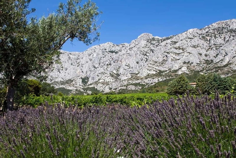 Coteaux d'Aix: Ste Victoire Wine Tour & Cezanne route - Authenticity and Personal Touches