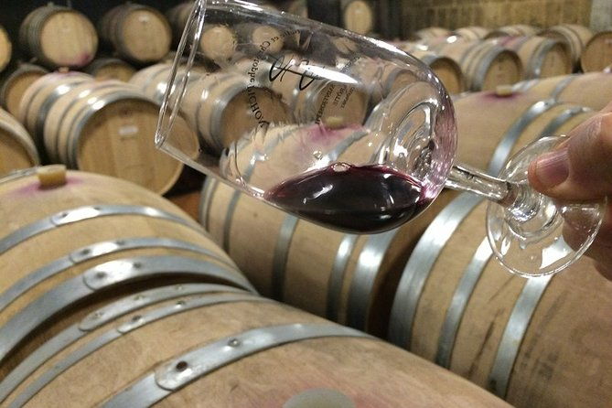 cotes-du-rhone-wine-tour-private-tour-full-day-from-lyon