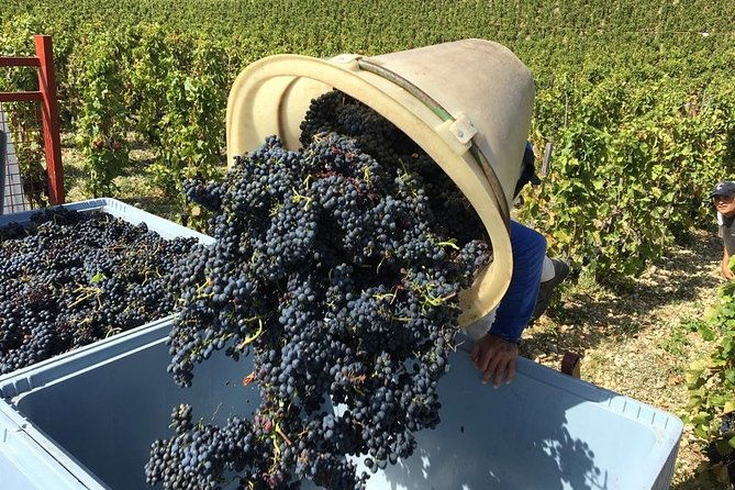 cotes-du-rhone-wine-tour-private-tour-full-day-from-lyon