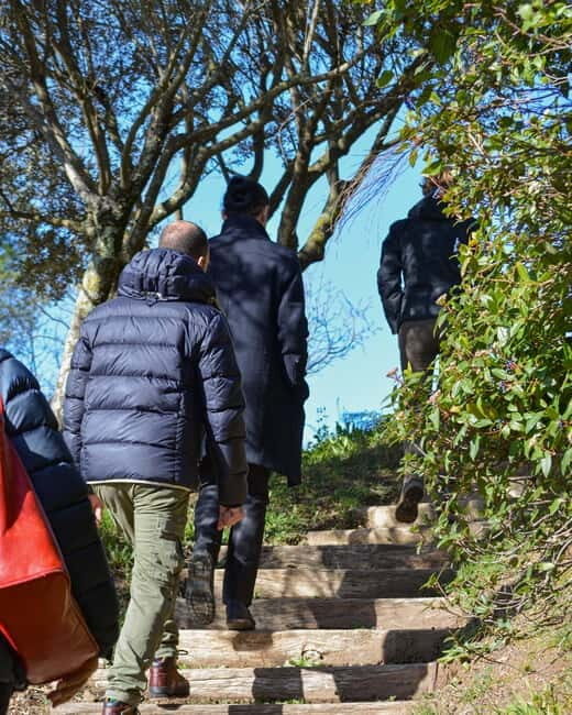 Cotignac: Botanical walk with a herbalist - Final Thoughts