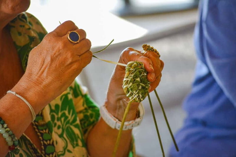 Cotignac: Workshop to discover wild basketry - Key Points