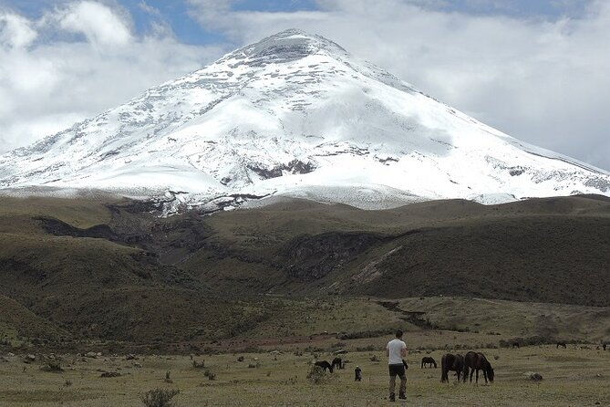 cotopaxi-national-park-and-inca-ruins-day-trip