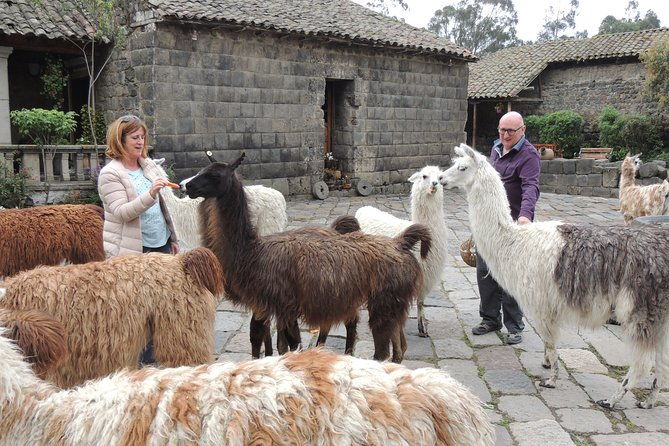 cotopaxi-national-park-and-inca-ruins-day-trip