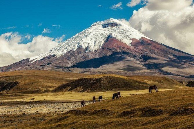 cotopaxi-quilotoa-1-day-adventure