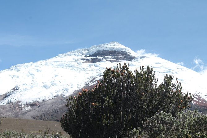cotopaxi-volcano-private-day-trip-from-quito