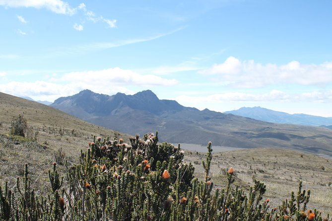 cotopaxi-volcano-private-day-trip-from-quito