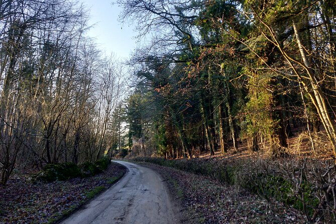 cotswolds-electric-bike-one-day-private-tour-starts-near-oxford