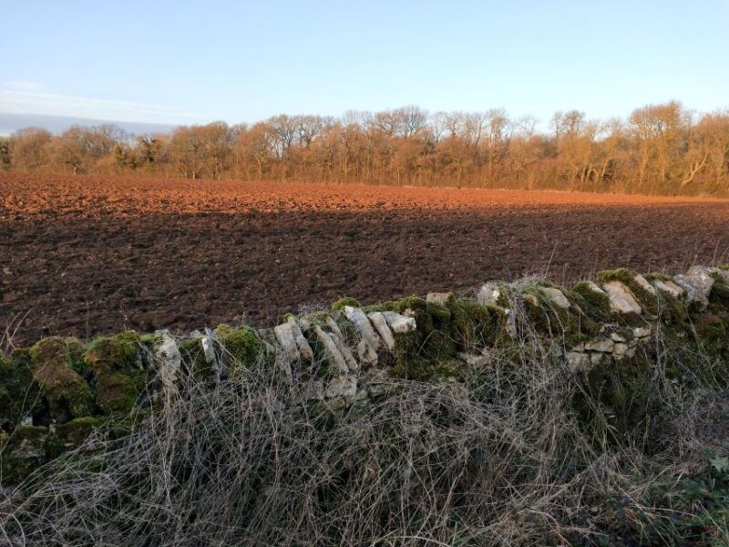 cotswolds-private-guided-tour-day-trip-by-car