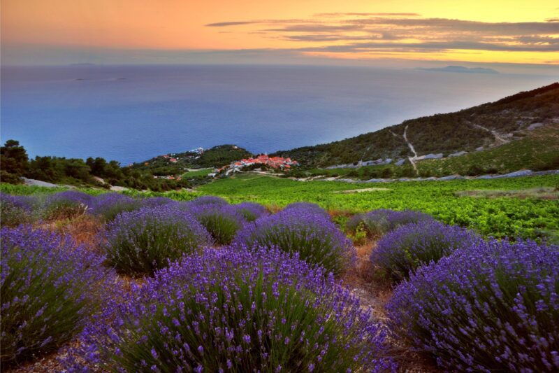 cotswolds-private-personalized-tour-in-a-luxury-ride