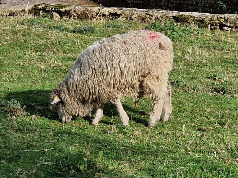cotswolds-the-loveliest-villages-in-england