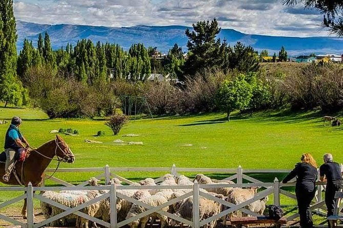 country-afternoon-with-dinner-show-estancia-25-de-mayo