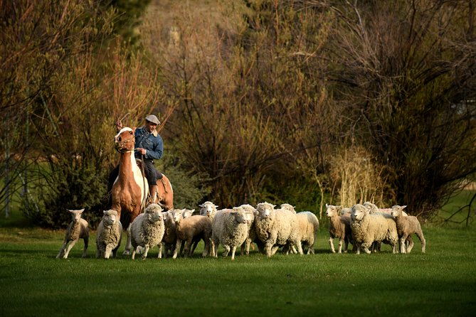 country-afternoon-with-dinner-show-estancia-25-de-mayo