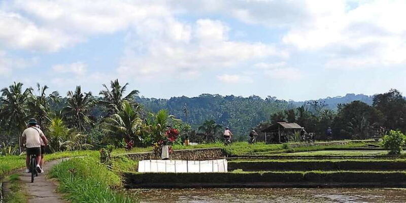 country-side-electric-bike-tour