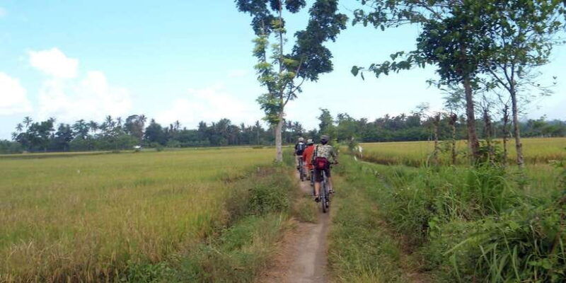 countryside-bike-ride-to-golong-village-and-lingsar-temple