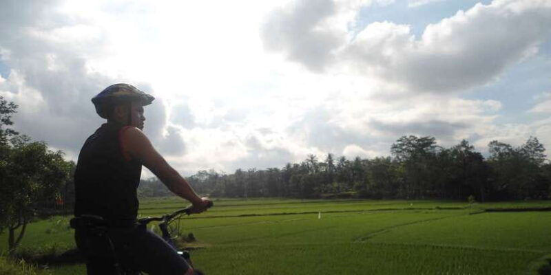 countryside-bike-ride-to-golong-village-and-lingsar-temple