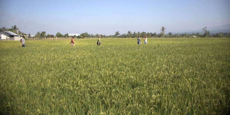 countryside-bike-ride-to-golong-village-and-lingsar-temple