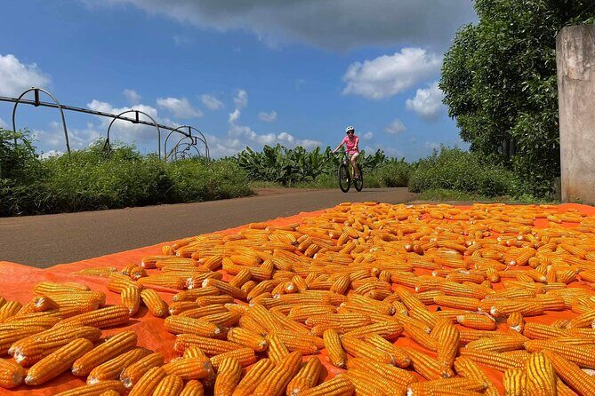Countryside Biking Experience: Phu My Port - Vietnam - Final Thoughts