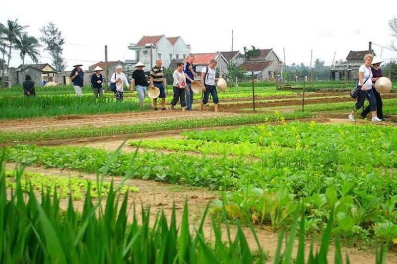 countryside-biking-farming-market-cooking-class-in-hoi-an-2