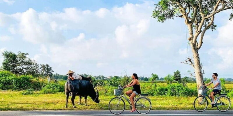 Countryside Biking -Farming -Market -Cooking Class In Hoi An - The Sum Up