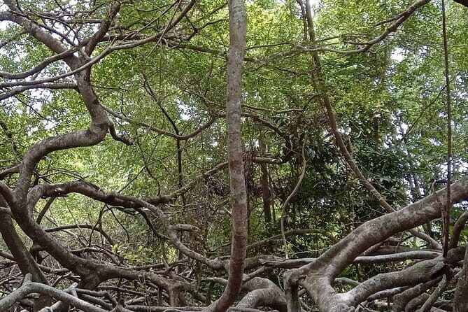 Countryside Bikking - In-Depth Look at the Itinerary