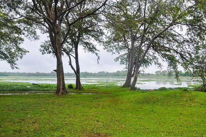 Countryside Cycling from Sigiriya - What Reviewers Say (Based on Limited Feedback)