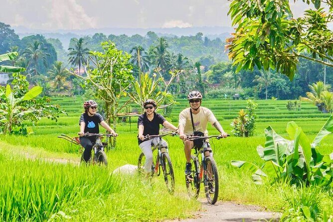 Countryside Cycling Tour From Sigiriya, Dambulla & Habarana - Key Points
