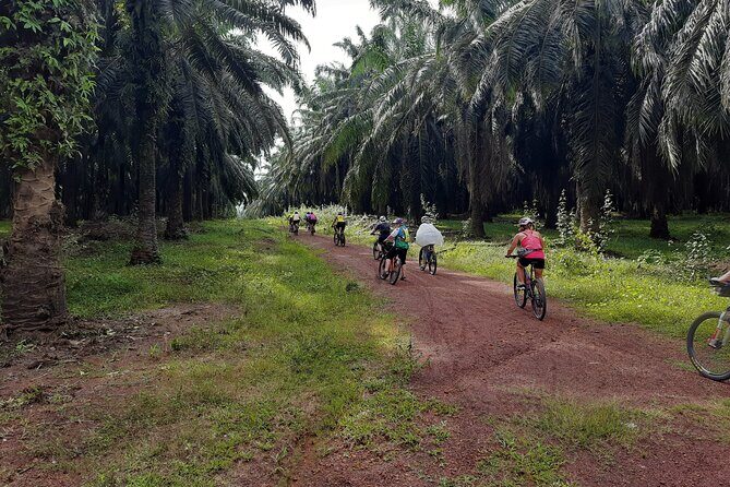 Countryside Cycling Tour. T1.0 by Matahari - Key Points