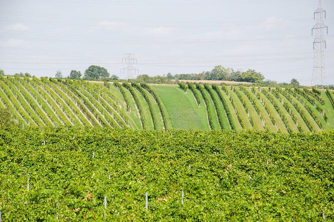 countryside-half-day-wine-tour-near-vienna
