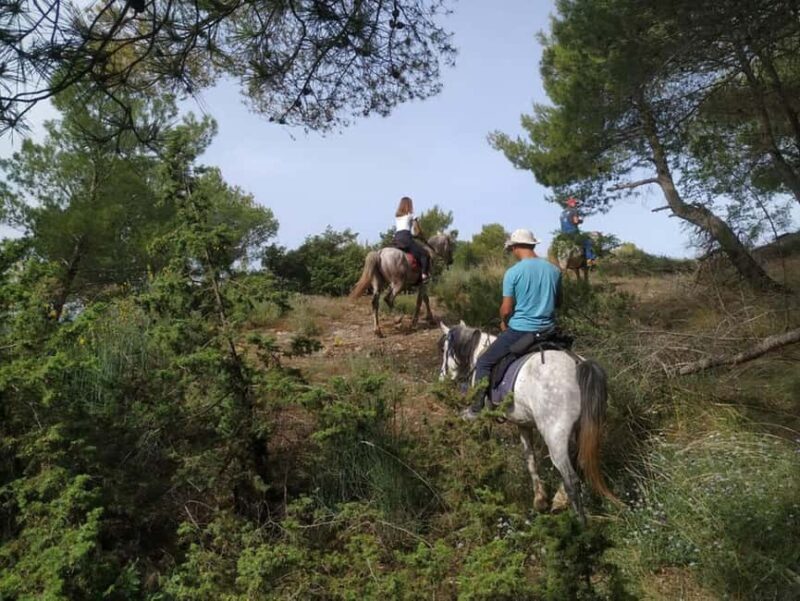 Countryside Horseback Ride in Gjinofshat - Key Points