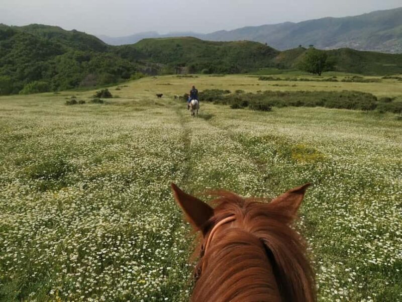 Countryside Horseback Ride in Gjinofshat - Who Is This Tour Best For?