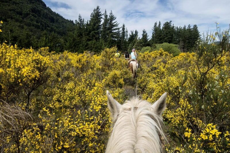 countryside-immersion-with-horseback-ride-in-sainte-victoire