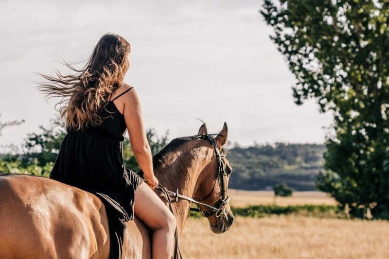 countryside-immersion-with-horseback-ride-in-sainte-victoire