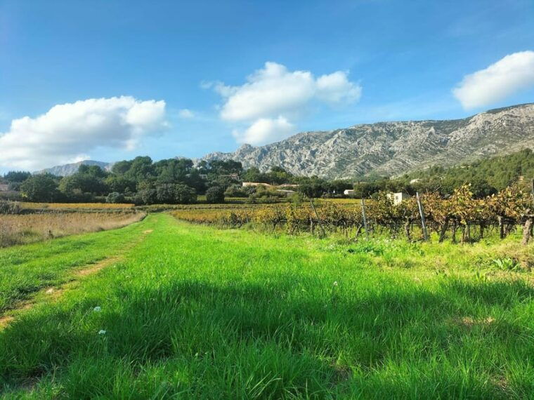 countryside-immersion-with-horseback-ride-in-sainte-victoire