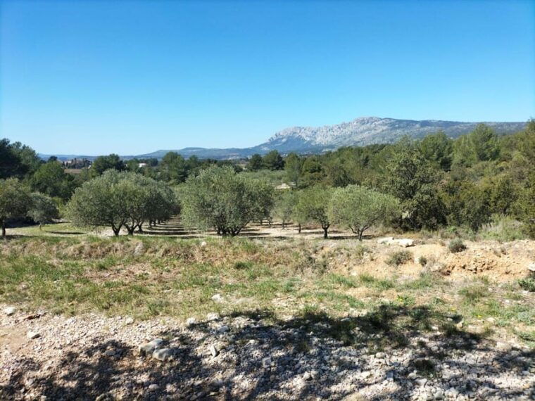 countryside-immersion-with-horseback-ride-in-sainte-victoire