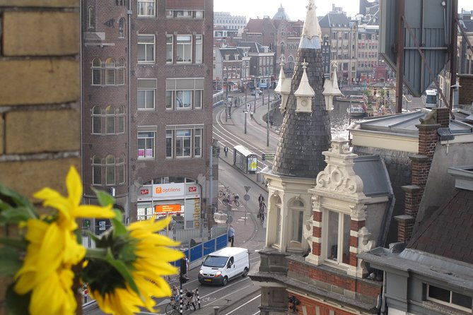 countryside-of-amsterdam-private-tour