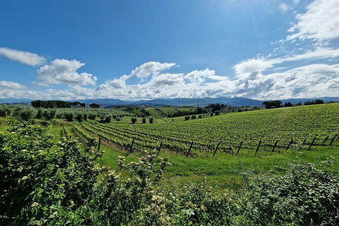 countryside-pick-up-for-chianti-private-wine-tours-limo-service