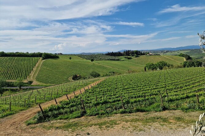 countryside-pick-up-for-chianti-private-wine-tours-limo-service