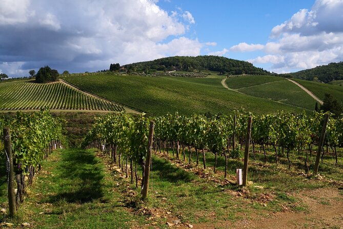 countryside-pick-up-for-chianti-private-wine-tours-limo-service