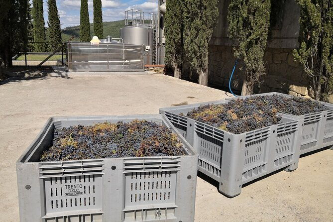 countryside-pick-up-for-chianti-private-wine-tours-limo-service