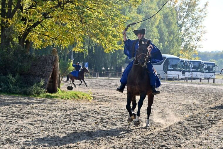 countryside-ranch-horse-show-lunch
