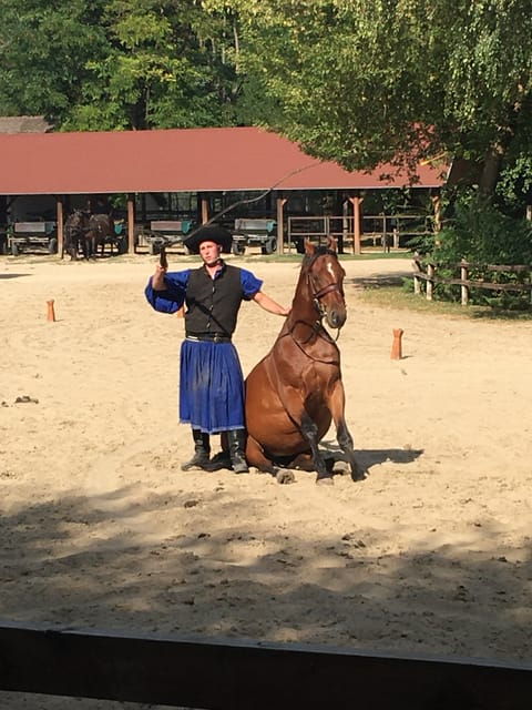 countryside-ranch-horse-show-lunch