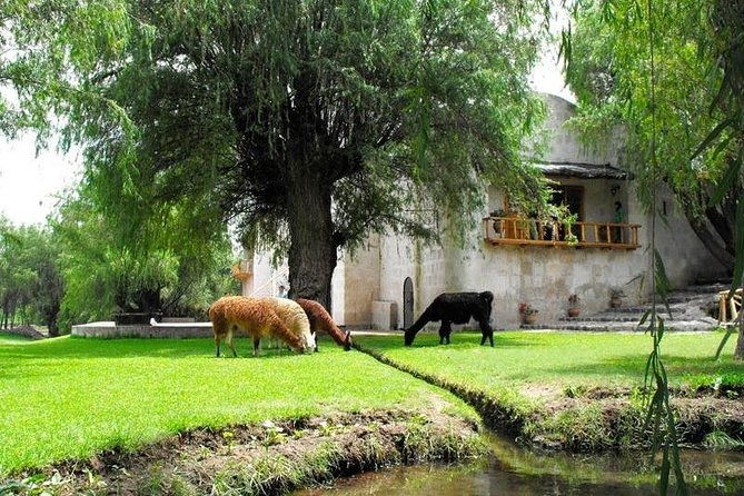 countryside-tour-arequipa
