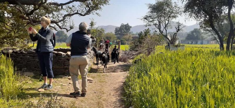 Countryside Village Tour Experience - Final Thoughts: Who Should Consider This Tour?