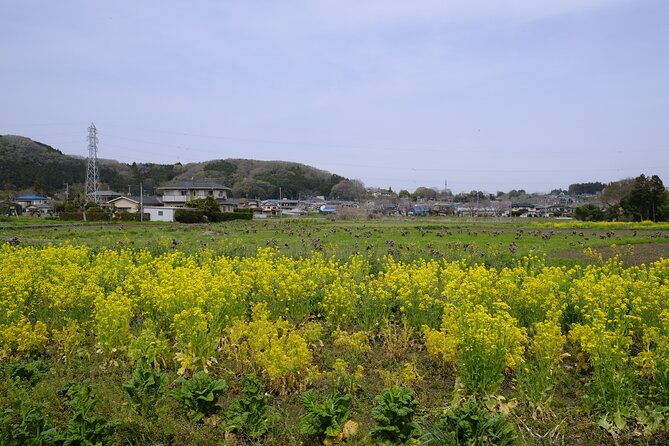 countryside-walking-mountain-hiking-in-organic-town-near-tokyo