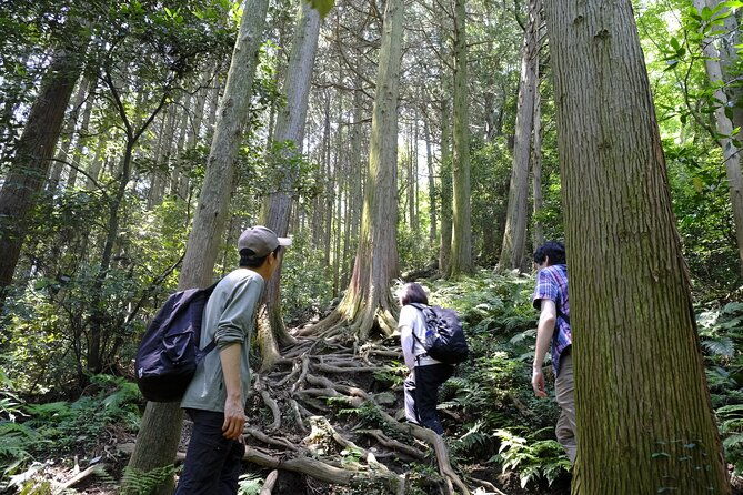 countryside-walking-mountain-hiking-in-organic-town-near-tokyo
