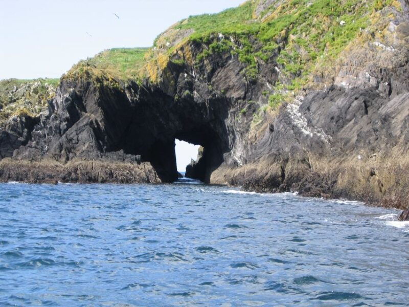 county-cork-whale-dolphin-watching-boat-trip